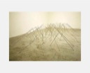 ../captions/199502.jpg