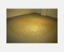 ../captions/200803.jpg